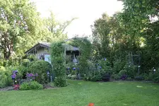 Mai    3823.webp