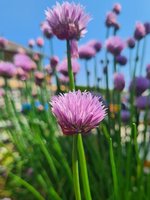 20230528_123821.jpg