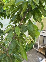 IMG_2310.jpeg