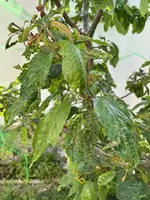 IMG_2309.webp