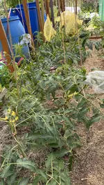 IMG_5990.jpeg