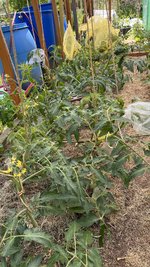 IMG_5990.jpeg