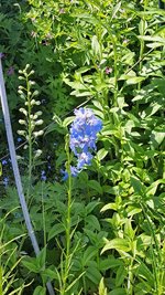 20230528_111444.jpg