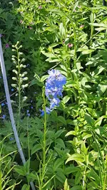 20230528_111444.webp