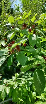 20230528_132453.jpg