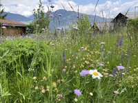 IMG_7823.jpeg