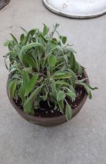 20230528_203213.jpg
