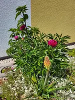 20230529_142620.webp
