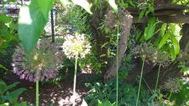 20230529_121057.webp