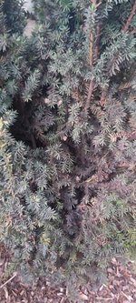 20230529_212539.jpg