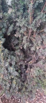 20230529_212537.jpg