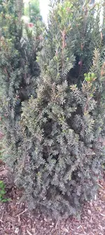 20230529_212528.webp