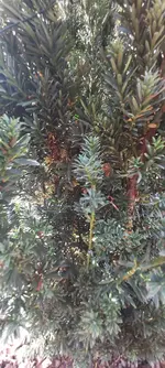 20230529_183914.webp