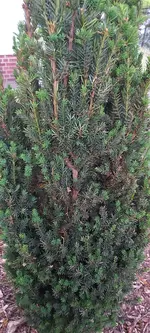 20230529_212510.webp
