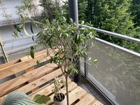 IMG_7877.jpeg