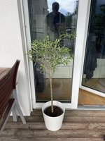 IMG_7866.jpeg