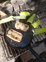 IMG_20230529_180310.jpg