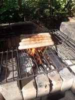 IMG_20230529_190503.jpg