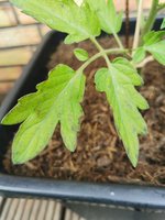 IMG_20230530_073818.jpg