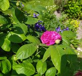IMG_20230530_120757.jpg