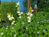 IMG_20230530_120429.jpg