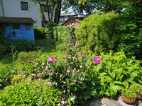 IMG_20230530_120857.jpg