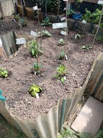IMG_20230528_130431.jpg