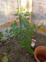 20230531_064733.webp