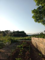 20230531_065923.jpg