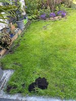 IMG_3405.jpeg