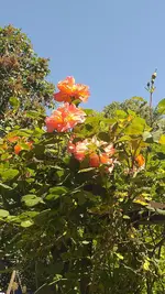 20230531_120630.webp