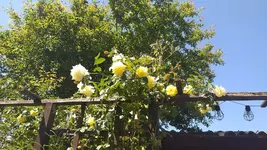 20230531_120602.webp