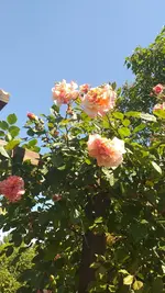 20230531_120455.webp