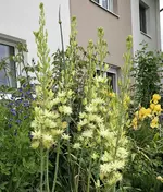 14B10079-06DC-4DE1-8155-41761C7222B1.webp