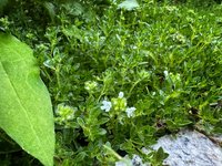 IMG_9029.jpeg