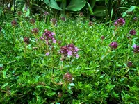IMG_9032.webp