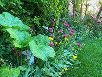 IMG_9030.jpeg