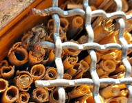 Insektenhotel 2.webp