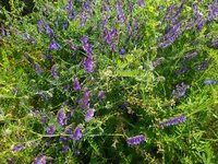 IMG_20230601_094355.jpg