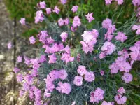 IMG_20230601_094632.webp