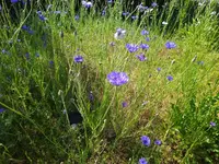 IMG_20230601_094411.webp