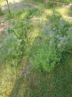 IMG_20230527_085036.jpg