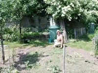 IMG_20230527_140733.webp