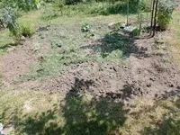 IMG_20230527_141326.webp