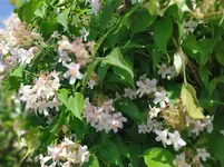 IMG_20230601_135829.webp