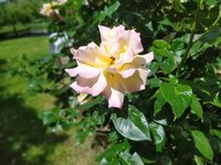 IMG_20230601_123118.jpg