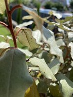 IMG_3058.jpeg
