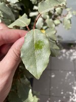 IMG_3063.jpeg