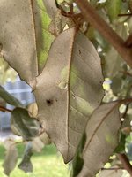 IMG_3066.jpeg