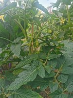 IMG_20230602_185735.jpg